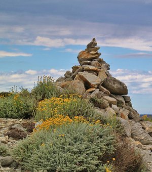 电话连环云呼叫软件